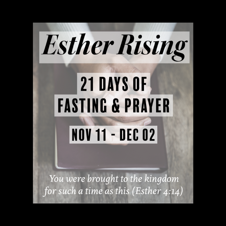 ESTHER RISING FASTING & PRAYER

November 11 - December 2
